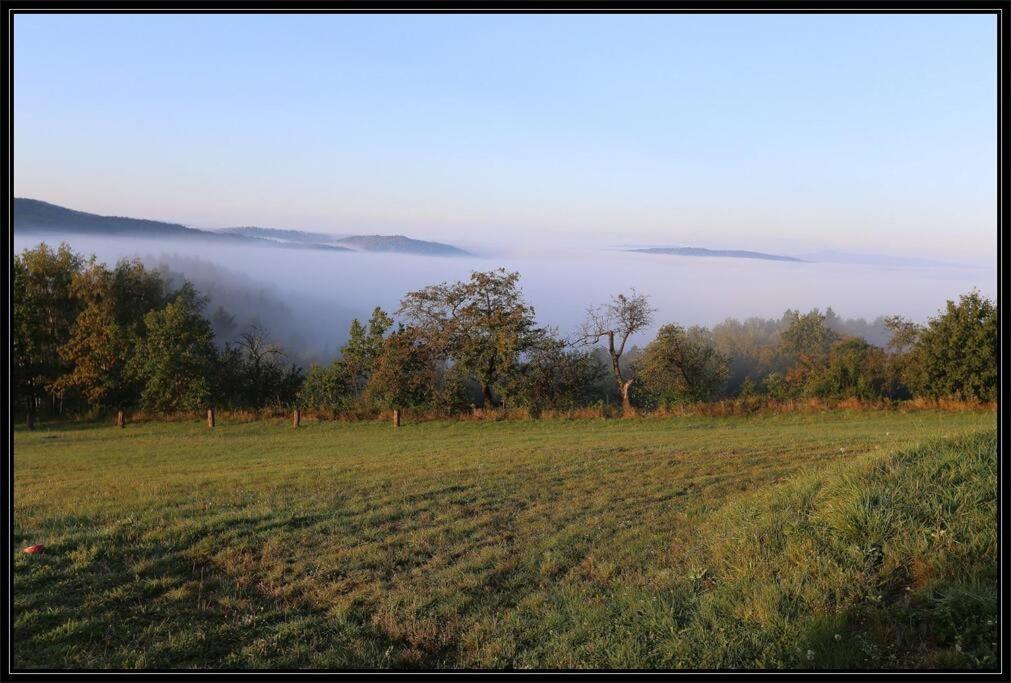 Swiety Spokoj Palesnica Экстерьер фото