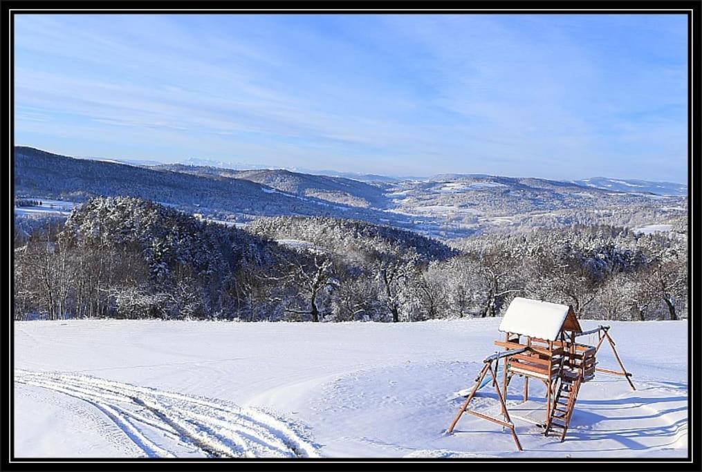 Swiety Spokoj Palesnica Экстерьер фото